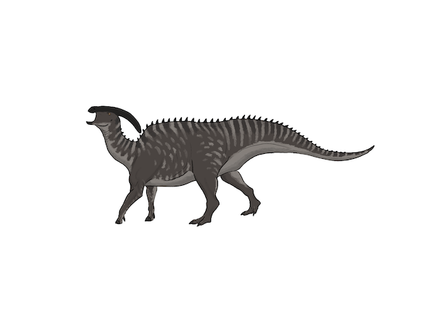 Parasaurolophus