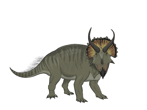 Triceratops